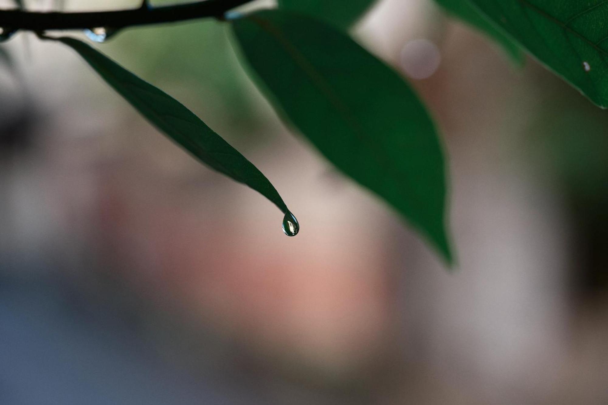 Unsui 武雄蓬莱町 雲水 Διαμέρισμα Εξωτερικό φωτογραφία